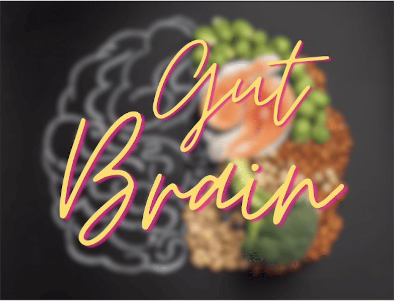 The Gut Brain Connection During Menopause